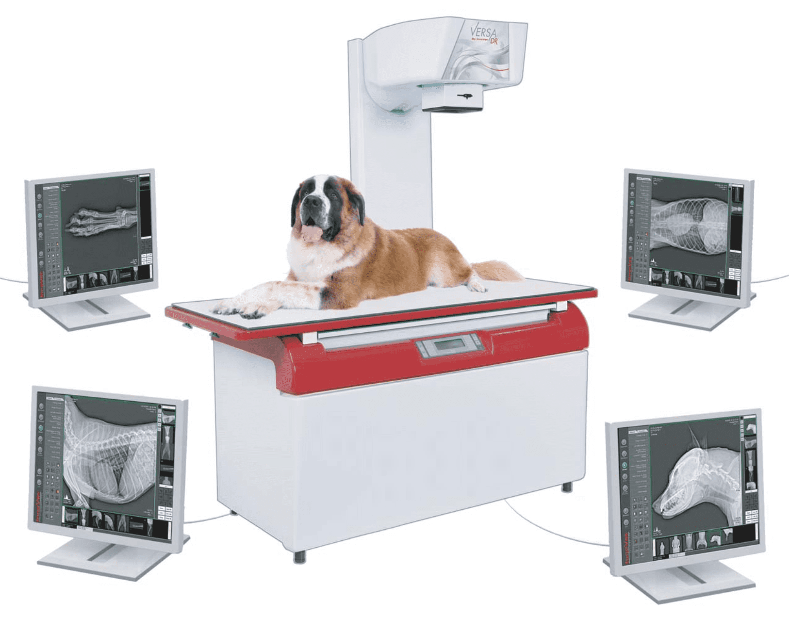 InnoVet Versa DR veterinary radiography system